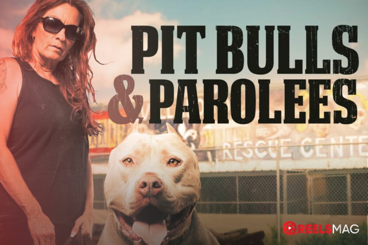 How to Watch Pit Bulls and Parolees in the UK ReelsMag