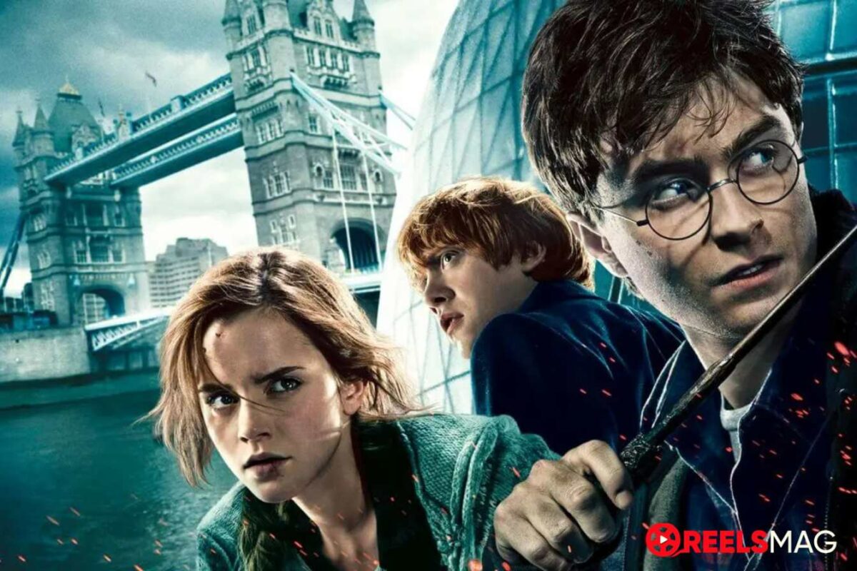 How to watch Harry Potter movies on Netflix in 2024 ReelsMag