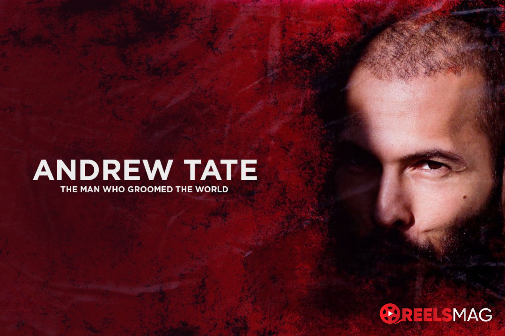 Andrew Tate - IMDb